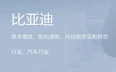 比迪亚案例