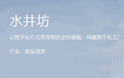 水井坊案例
