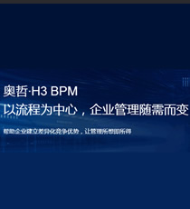 奥哲-奥哲.H3 BPM