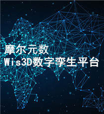 摩尔元数-Wis3D数字孪生平台