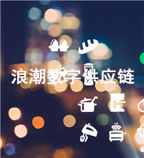 浪潮数字供应链