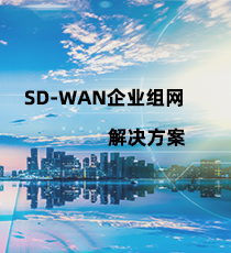 世纪互联- SD-WAN企业组网解决方案