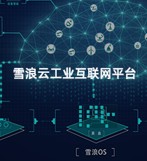 雪浪云工业互联网平台