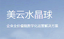 美云智数-美云水晶球