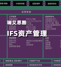 瑞艾思酷-IFS资产管理