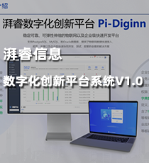 湃睿信息-数字化创新平台系统V1.0
