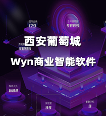 西安葡萄城-Wyn商业智能软件