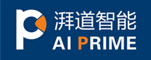 上海湃道智能科技有限公司
