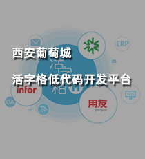 西安葡萄城-活字格低代码开发平台