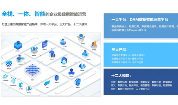 数据资产管理平台（DAM）