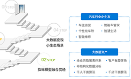 某新能源汽车品牌2.0项目