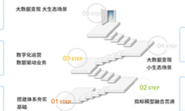 某新能源汽车品牌2.0项目