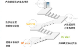 某新能源汽车品牌2.0项目