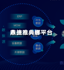 鼎捷雅典娜平台
