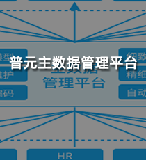 普元主数据管理平台