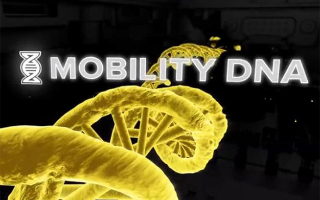 Mobility DNA：企业移动软件
